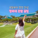 보드레안다미로 | 청와대 관람 준비물 주차 코스 예약 후기 개방 7월끝