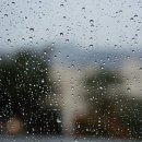 머슬드래곤짐 이미지