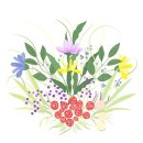 잇쉬잇샤