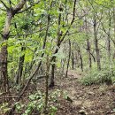 야시골마을수리센터 | 순창 덕치치안센터-깃대봉-천마봉-삼연봉-회문산-시루봉-돌곶봉-회문산자연휴양림 산행기록