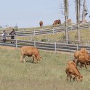 우럭농장 이미지