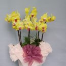 전주완산서초등학교 이미지