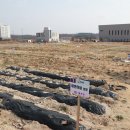 스마트도시통합운영센터 옆 이미지