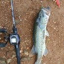 솔나루펜션 이미지