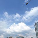 프라이언스 네이버블로그