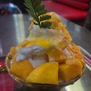 베트남 다낭은 과거 투어라네라는 항구도시 이미지