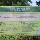 구재봉자연휴양림(하동) 이미지