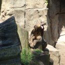 식물원 옆 동물원 이미지