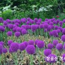 산헤드린 공회와 권력 구조 이미지