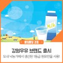 춘천철원화천양구축산농협하나로마트 - 춘천시 경춘로 2342 | 춘천철원화천양구축산농협하나로마트