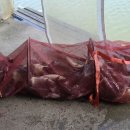 힐링낚시터 이미지