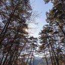 제주불교성지 순례길 절로가는길 - 선정의 길 | 사자산의 숨결 따라, 믿음의 길 위에서 — 영월 법흥사 33관음성지 순례길에서 느낀 마음의 맑음