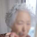 영림식품