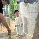 애니멀클럽 | 비오는날 아기랑 가기 좋은 평택 애니멀클럽 방문 후기