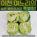 에바다
