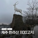 주정차-2 | 겨울 제주여행 설경맛집 한라산 1100고지 2월 방문 후기 (feat. 불법주정차 과태료)