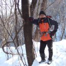 로얄광택 이미지