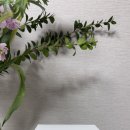 라이프파트너 | 라이프스타일 파트너 덱스탑 다이얼 무드등, 우드 무드라이트 취침등 사용 후기