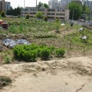 수원-1271 이미지