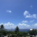 그레이스약국 이미지