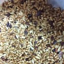 Enjoy(엔조이) 이미지