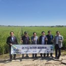 전통주 (막걸리) 제조 과정 이미지