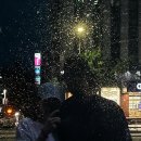 부산 야장 술집 하루에 2곳 다녀온 후기