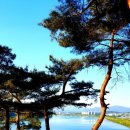 충주 탄금대와 탄금대공원 네이버블로그