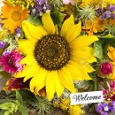 닉 변경신청입니다. 이미지