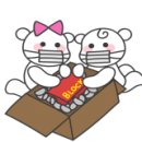 365오락실 이미지