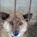 제순이네 이미지