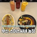 고려농장 | 스미스씨네 농장 : 부산 해운대 이색적인 마린시티 양식 레스토랑 후기