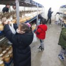 수회초교 병설유치원 이미지