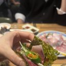 물만난오징어 | [금정역] 군포 대방어 맛집 '물만난 오징어' 내돈내산 후기