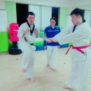 멘토 태권도장 | [서울 성인태권도] 아직도 헬스장에 돈 기부하세요? 외국인·커플·선수 출신도 몰리는 금강태권도장