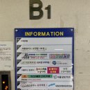 바하 고양이 병원 이미지