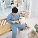 랙돌카페냐옹 이미지