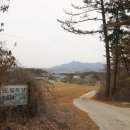 도일목장 Daum카페