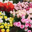 한아름김밥 이미지