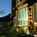 평창들꽃 이미지