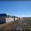 목화농장 이미지