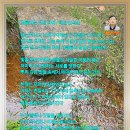 아래 이미지