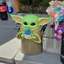 라이트닝 | 미국 2일차｜LA 디즈니랜드 파크 티어 2 라이트닝 패스 어트랙션 후기 ①