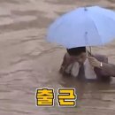 숯불포차 이미지