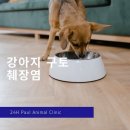 내친구동물병원 이미지