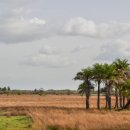 J52EC Guinea Bissau( 2026년 3월까지) 이미지
