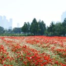 햇살꽃정원 이미지