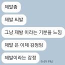 뚱띠토스트 이미지
