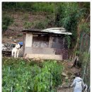 땡구야놀자 이미지