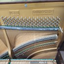 라온음악교습소 이미지